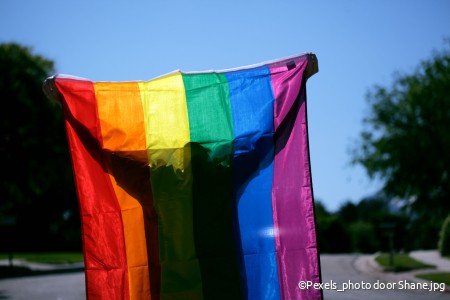 Queer vlag