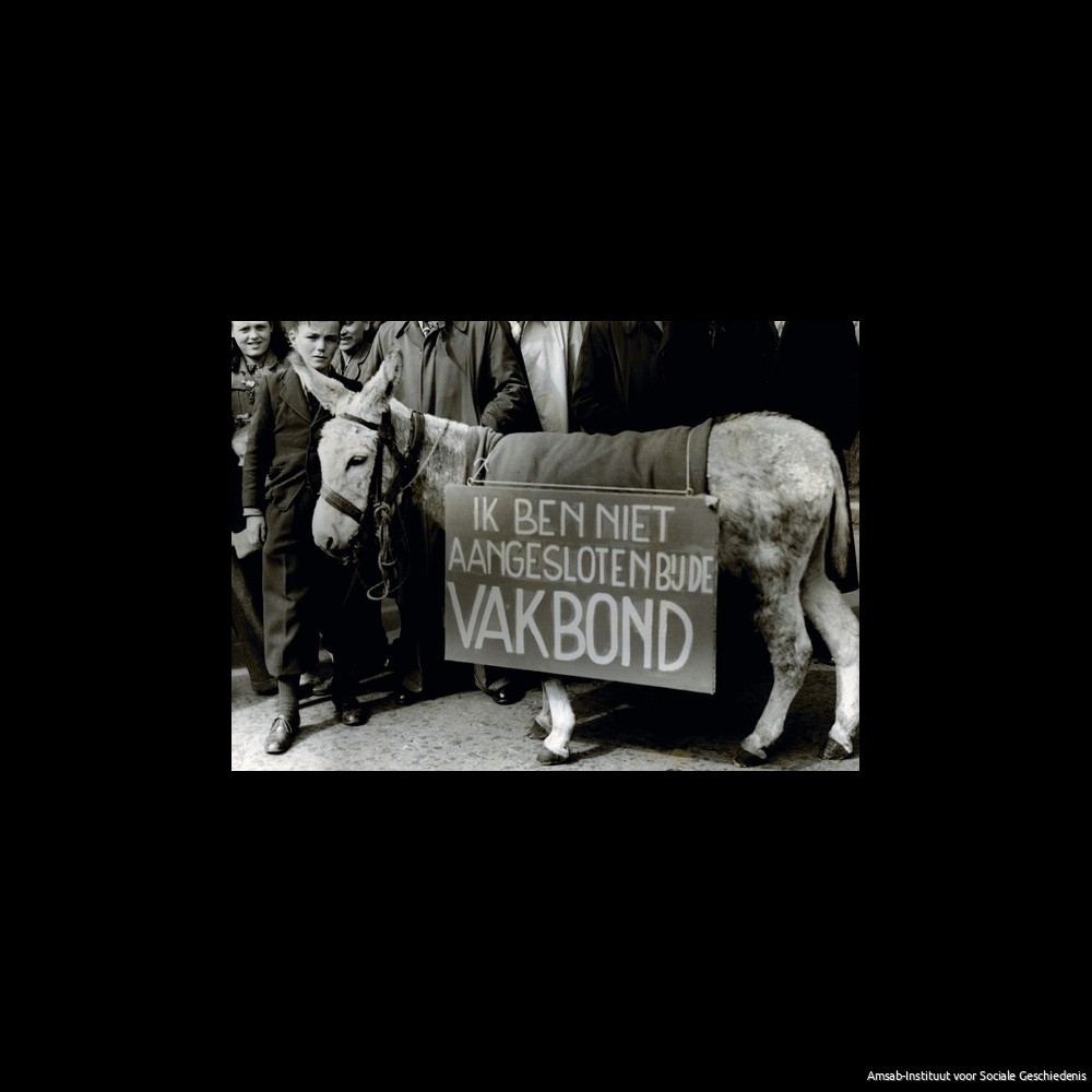 1-meistoet Antwerpen (jaren 1950).
Foto van Louis Van Cauwenbergh