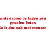 Postkaarten